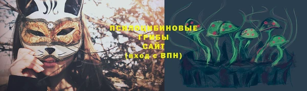 мяу мяу мука Алексеевка